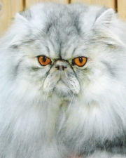 Larry von der Schmuseburg